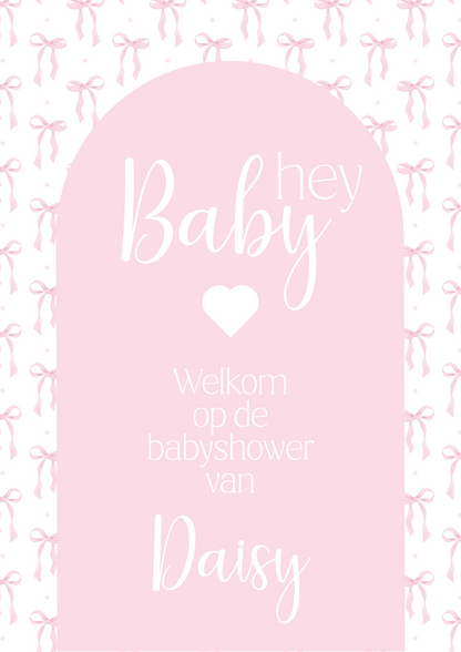 Welkomsposter blauw/roze- Babyshower