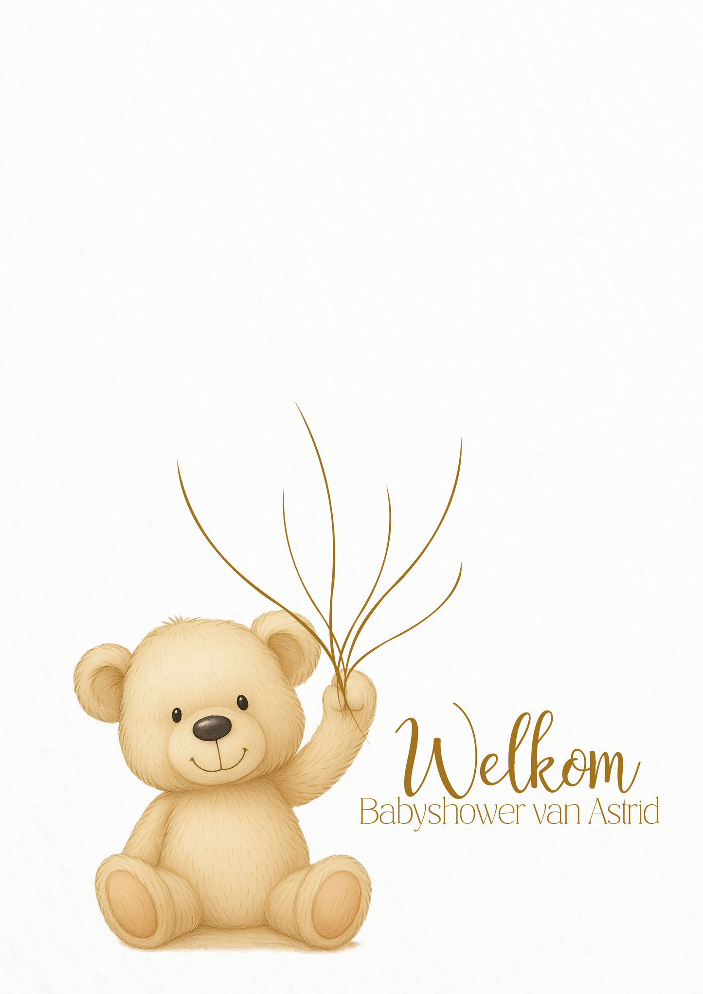Gastenboek Beertje - Babyshower