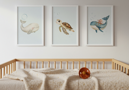 Witte walvis - Zeedieren Poster