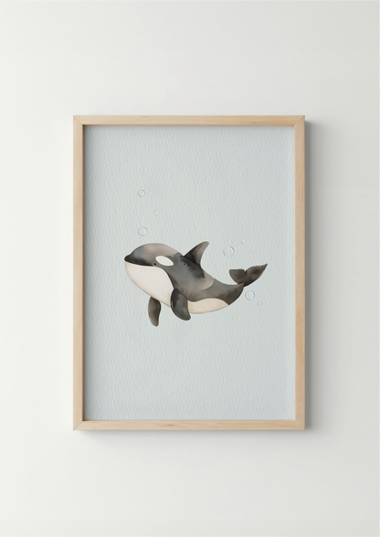 Orka - Zeedieren Poster