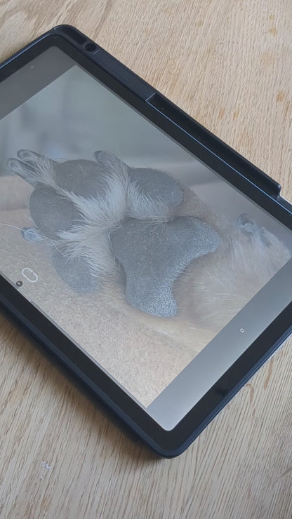 Dierenpoot Lijntekening